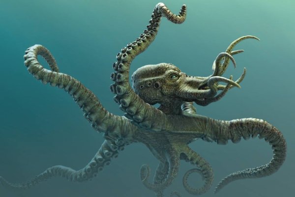 Kraken 2kr pro