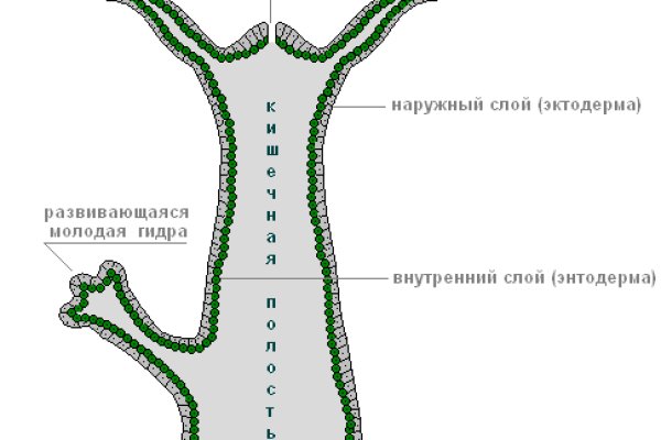 Кракен это даркнет