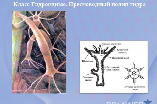 Почему не могу зайти на кракен